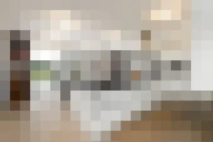 West 60 Buitenpost thumbnail 11
