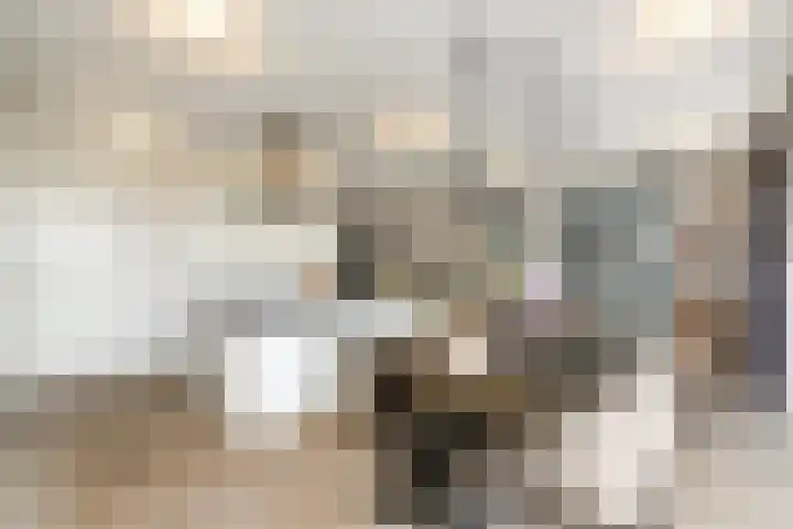 West 60 Buitenpost thumbnail 15