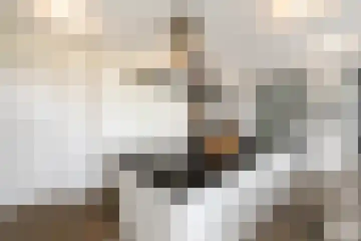 West 60 Buitenpost thumbnail 17