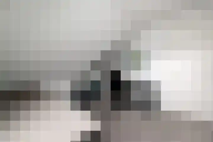 West 60 Buitenpost thumbnail 32