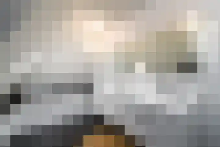 West 60 Buitenpost thumbnail 35