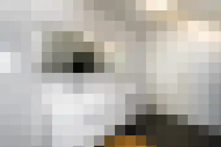 West 60 Buitenpost thumbnail 37
