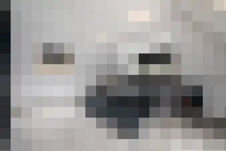 West 60 Buitenpost thumbnail 39