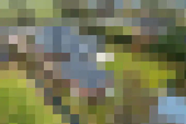 West 60 Buitenpost thumbnail 44