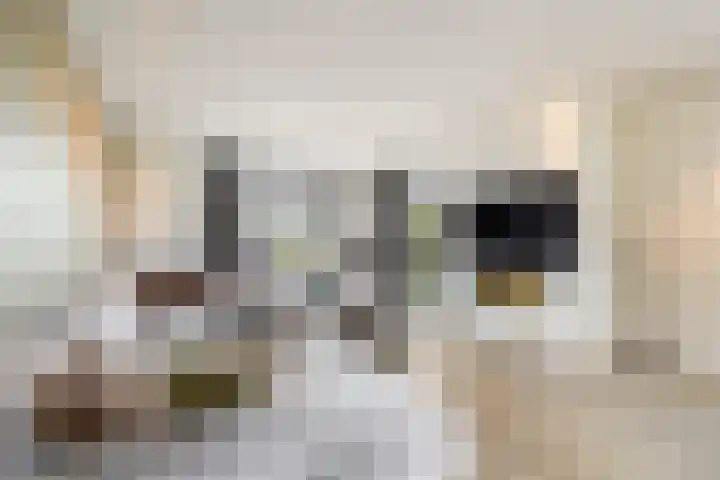 West 60 Buitenpost thumbnail 5