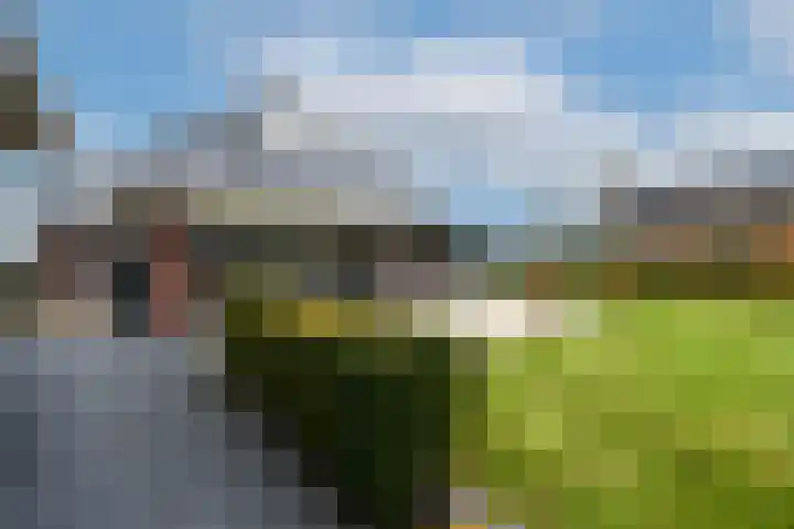 West 60 Buitenpost thumbnail 51