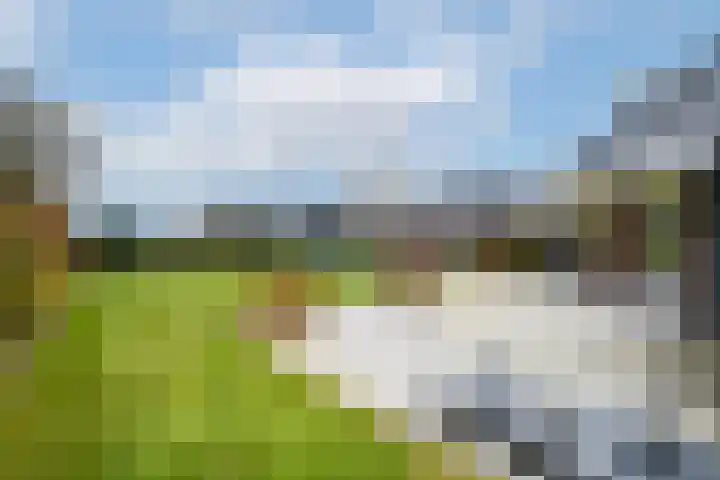West 60 Buitenpost thumbnail 53
