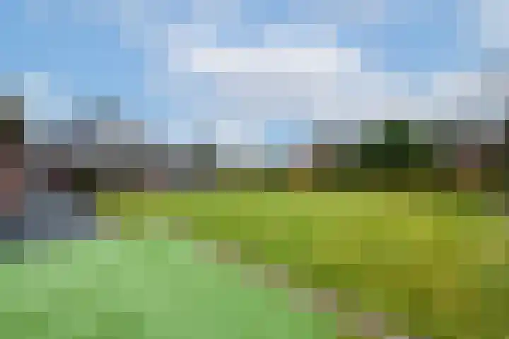 West 60 Buitenpost thumbnail 56