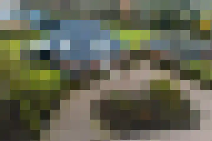 West 60 Buitenpost thumbnail 62