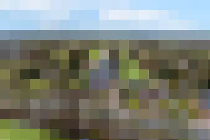 West 60 Buitenpost thumbnail 66