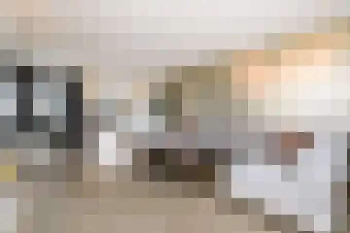 West 60 Buitenpost thumbnail 8