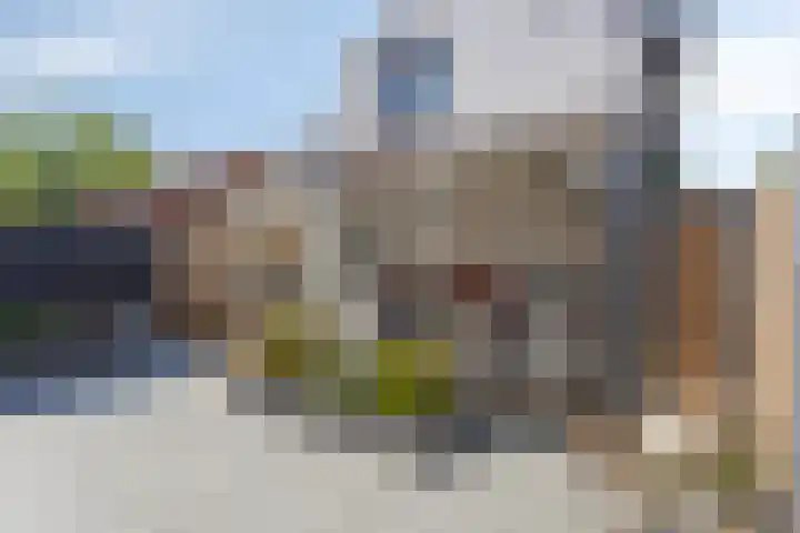 West Havendijk 9 Dirksland thumbnail 5