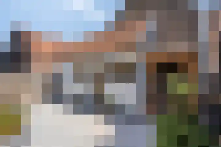 West Havendijk 9 Dirksland thumbnail 6