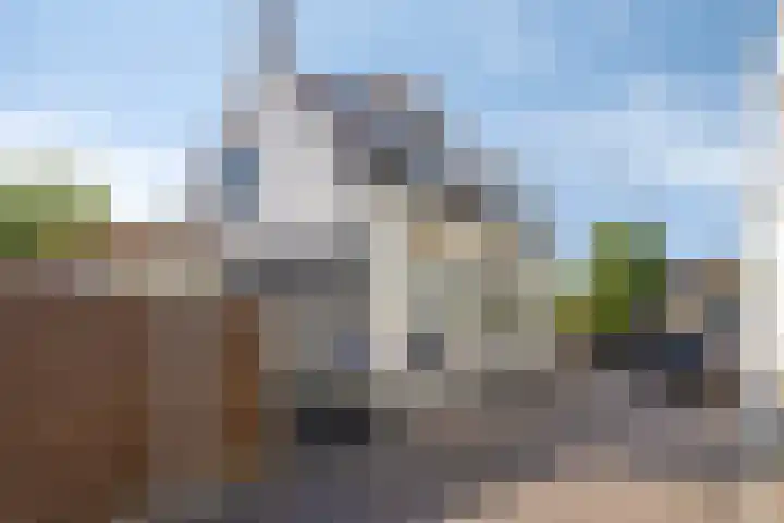 West Havendijk 9 Dirksland thumbnail 7