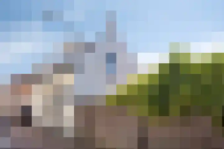West Havendijk 9 Dirksland thumbnail 8