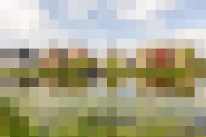 West Ringdijk 27 Moordrecht thumbnail 70