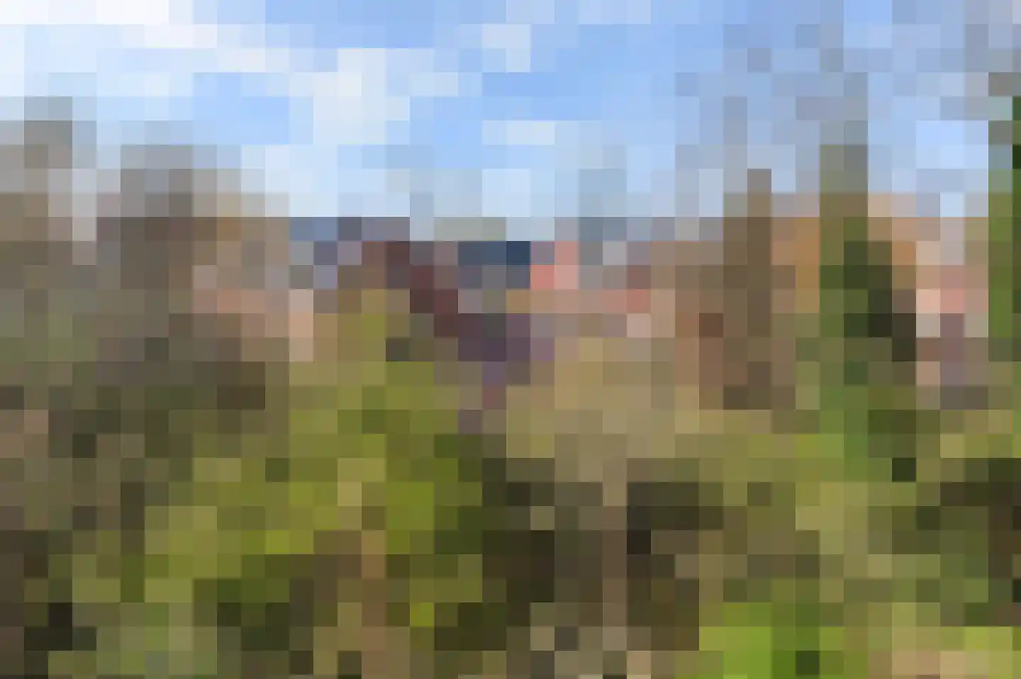 West-Sidelinge 310 Rotterdam thumbnail 22