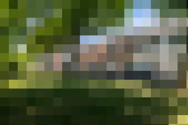West Vaardeke 98 Oudenbosch thumbnail 4