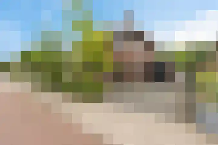 Westakker 12 Bant