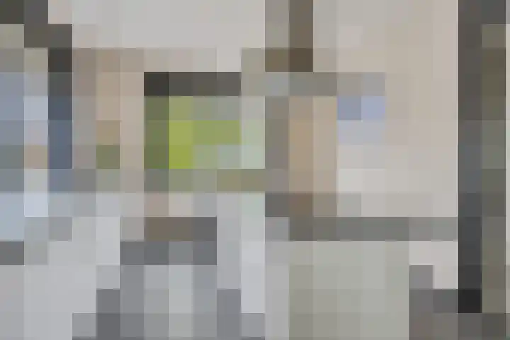 Westakker 12 Bant thumbnail 20