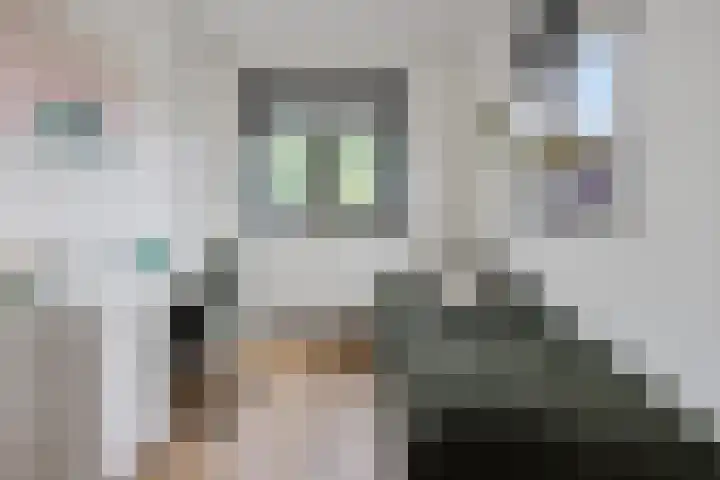 Westakker 12 Bant thumbnail 30
