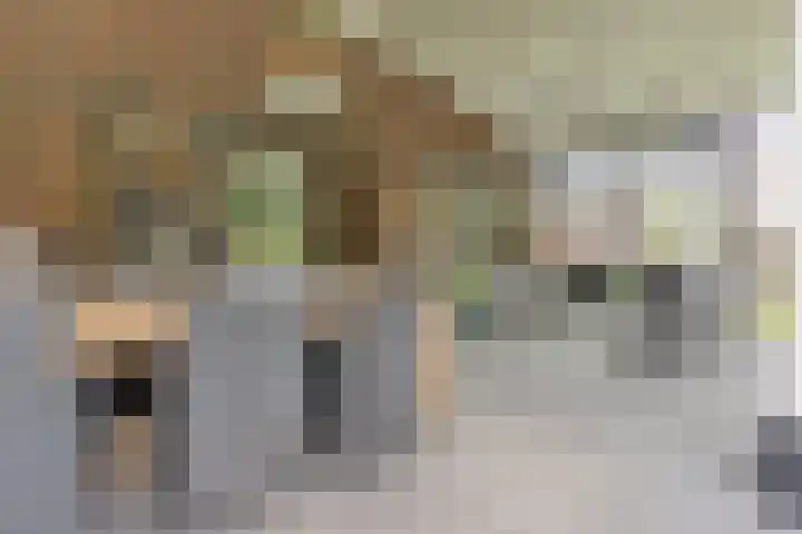 Westakker 12 Bant thumbnail 44