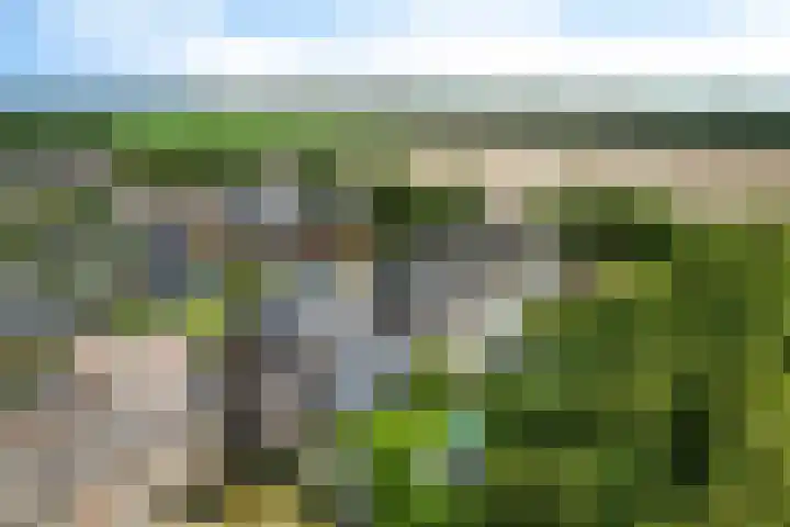 Westakker 12 Bant thumbnail 47