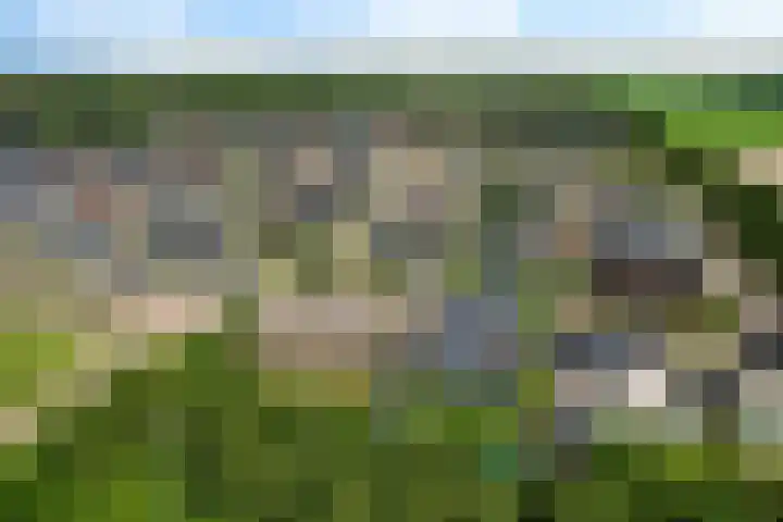 Westakker 12 Bant thumbnail 49