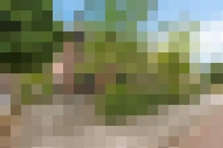 Westakker 12 Bant thumbnail 6