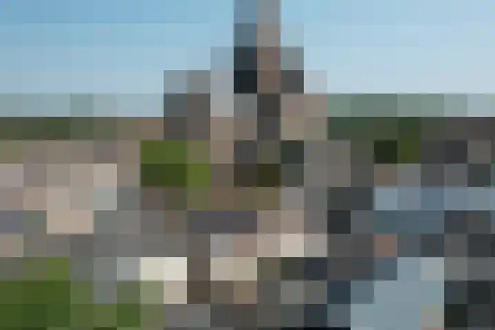 Westdam 40 Steenbergen thumbnail 50