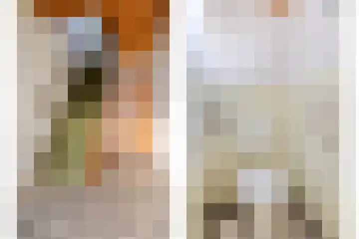 Westdam 56 Sas van Gent thumbnail 12