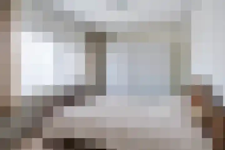 Westdam 56 Sas van Gent thumbnail 13