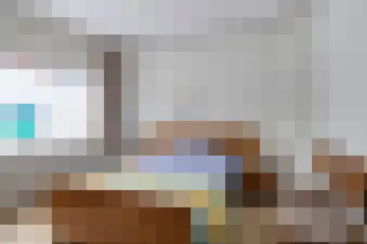 Westdam 56 Sas van Gent thumbnail 18