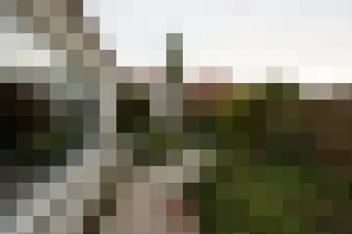 Westdam 77 Sas van Gent thumbnail 14