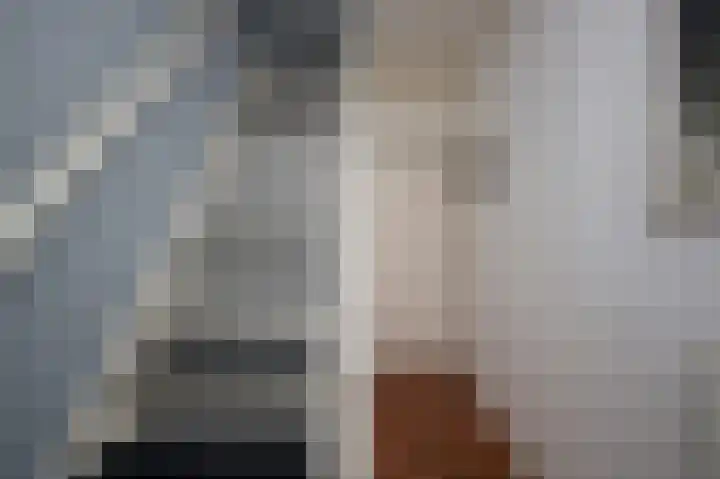 Westdam 77 Sas van Gent thumbnail 5