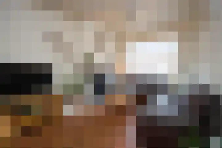 Westdam 77 Sas van Gent thumbnail 6