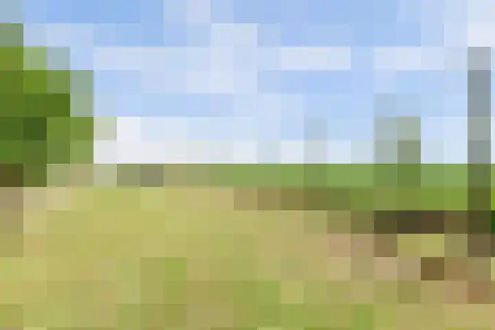 Westdijk 12 B Zuidschermer thumbnail 36