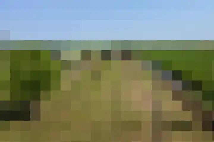 Westdijk 12 B Zuidschermer thumbnail 38