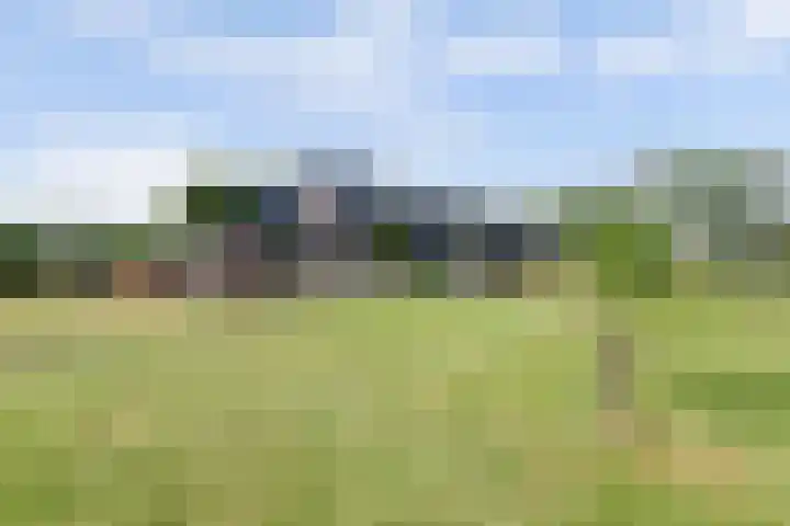 Westdijk 12 B Zuidschermer thumbnail 42