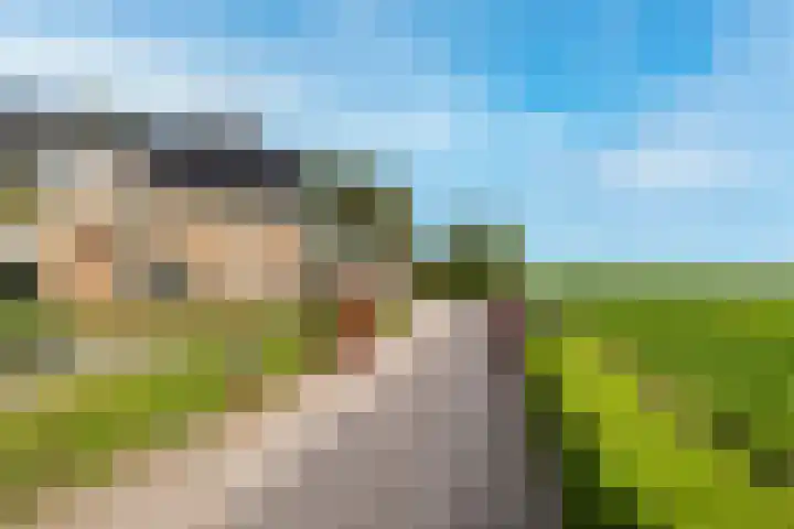 Westdijk 4 Willemstad thumbnail 63
