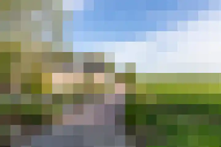 Westdijk 4 Willemstad thumbnail 68