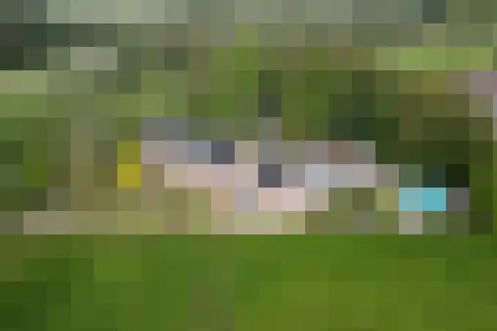 Westdijk 4 Willemstad thumbnail 73