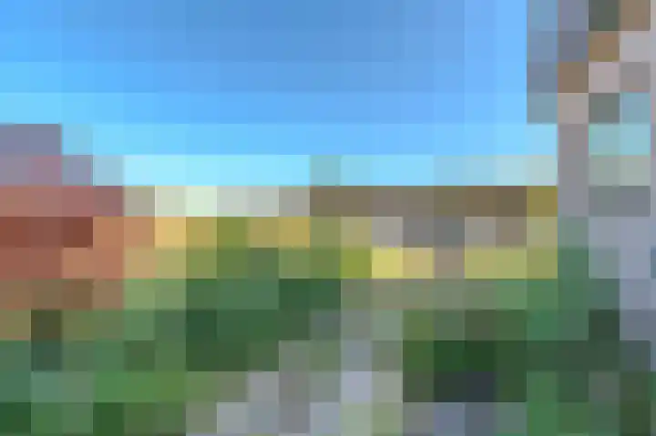 Westdijk 7 Alkmaar thumbnail 31