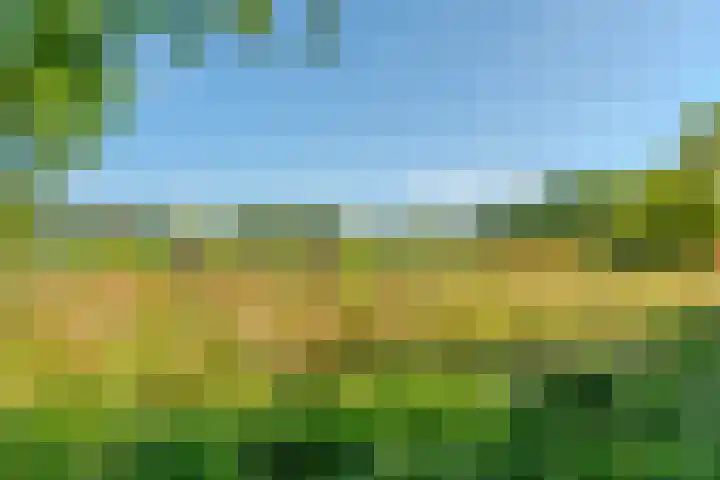 Westdijk 7 Alkmaar thumbnail 32