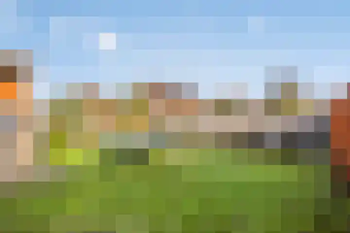 Westdijk 7 Heinkenszand thumbnail 35