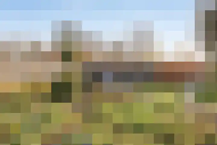 Westdijk 7 Heinkenszand thumbnail 36