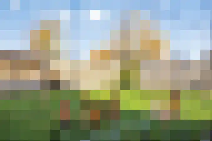 Westdijk 7 Heinkenszand thumbnail 37