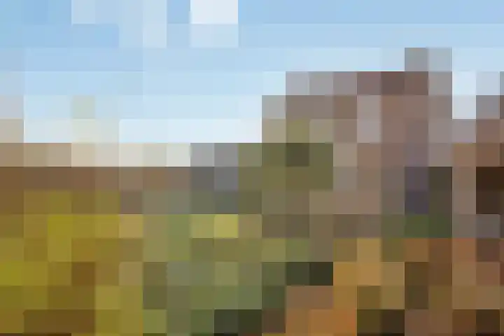 Westdijk 7 Heinkenszand thumbnail 38