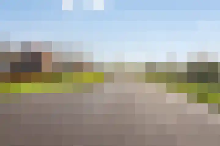 Westdijk 7 Heinkenszand thumbnail 4