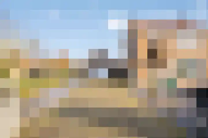 Westdijk 7 Heinkenszand thumbnail 6